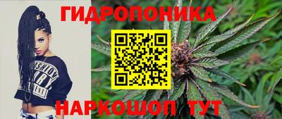 прущие крисы Братск