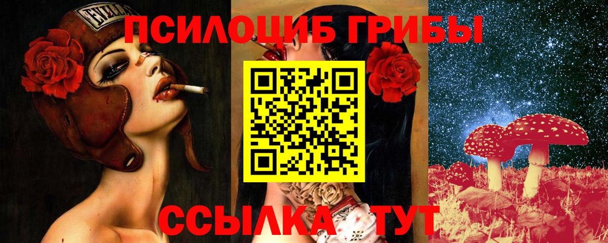 Грозный  купить наркотики сайты  Вход с VPN  Галлюциногенные грибы мухоморы 