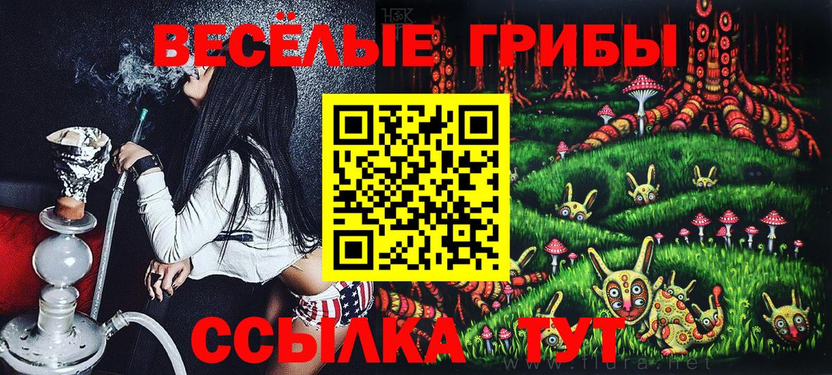 Галлюциногенные грибы ЛСД Грозный