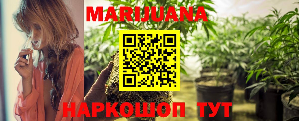 Бошки Шишки конопля Грозный